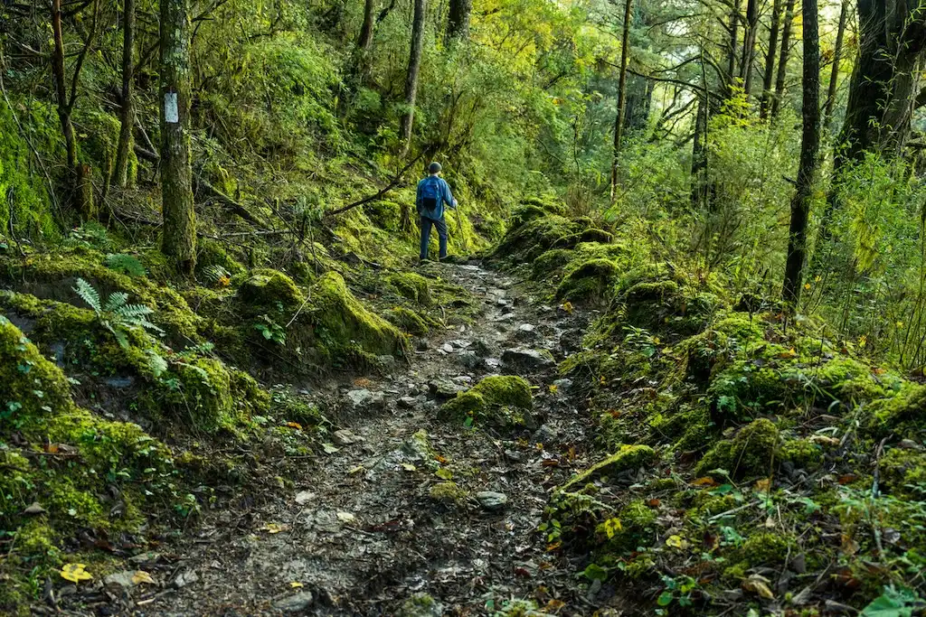 Gangkar Puensum Highest Peak Trek