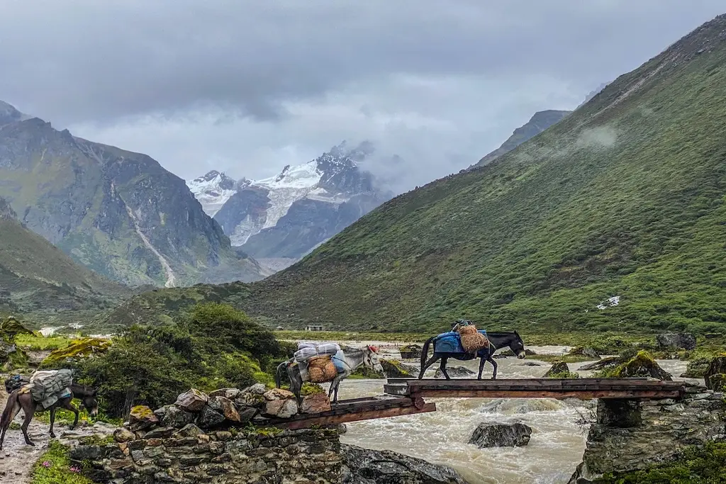 Jomolhari Loop Trek (10 Days)